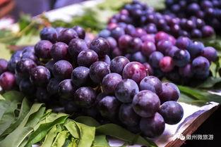 葡萄视频国产蜜,葡萄视频带你领略甜蜜魅力