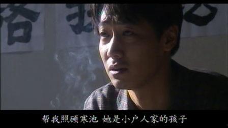 全部国产les视频在线,情感共鸣与时代变迁