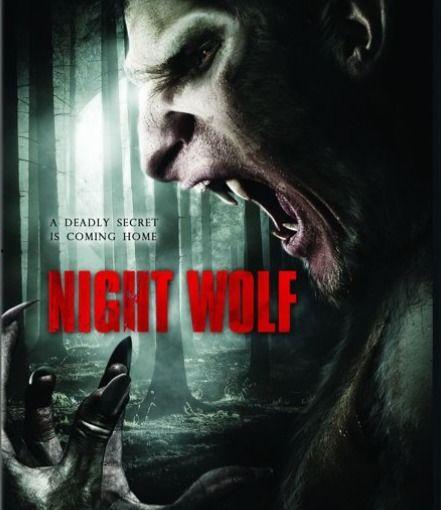 澳门国产夜狼A片视频,揭秘激情背后的故事