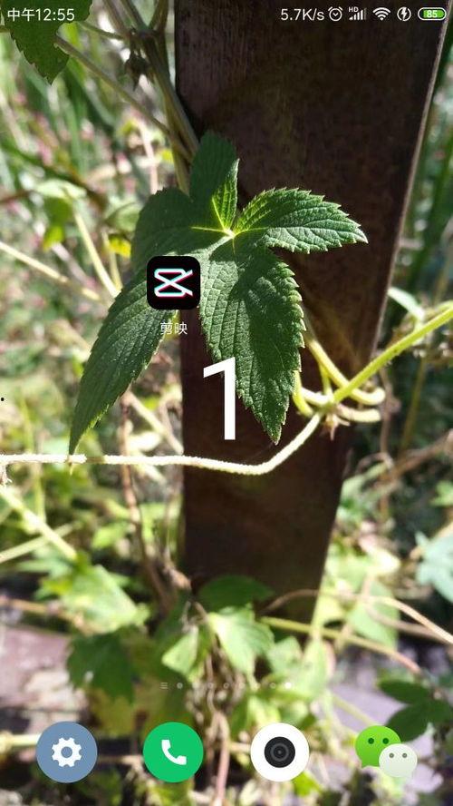 国产风铃花怎么修剪视频,国产风铃花修剪技巧视频解析